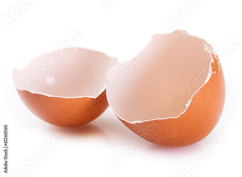 Eggshell