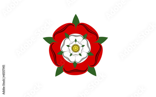 tudor dynasty rose