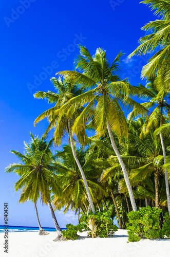 Central America, Caribbean Islands, Dominican Republic, beach