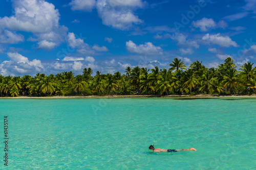 Diving, dive, coast of the Caribbean Islands, Saona, Dominicana