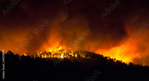 incendio forestal de noche