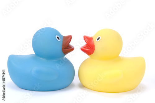 Dos patos de goma.