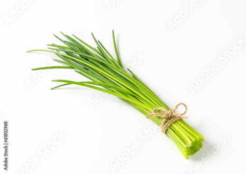 Bunch of fresh chives