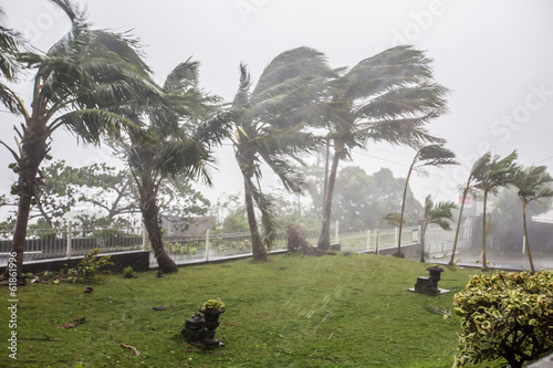 Cyclone "Bejisa" raging, La Réunion