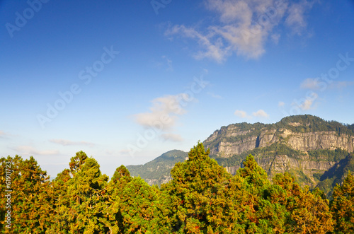 Mount Ali Sunrise with a tree and mountain,Alishan National Park