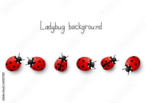 Ladybugs border