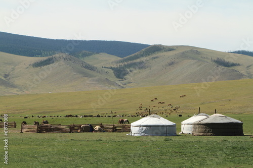Jurten Siedlung in der mongolischen Steppe