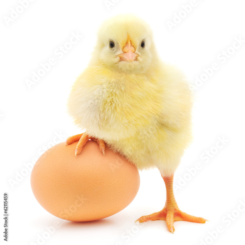 chicken and egg