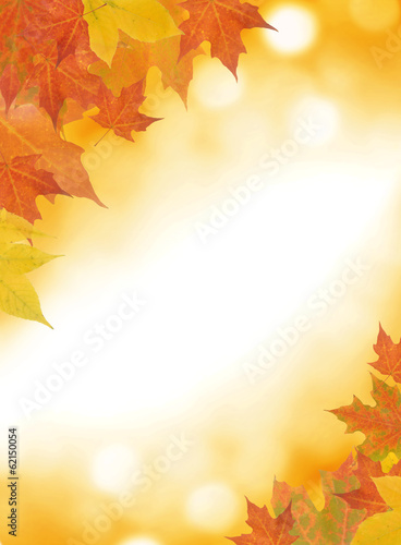 Autumn leaf background with room for copy space.