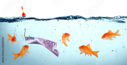 goldfish in danger - euro as bait - concept deception