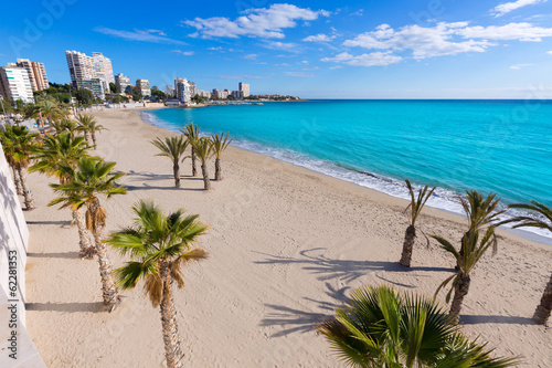 Alicante San Juan beach of La Albufereta with palms trees