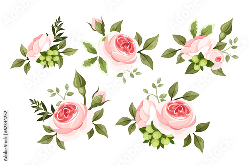 Set of pink roses. Vector illustration.