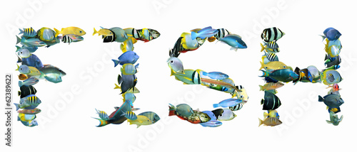 Word FISH composed from tropical fish isolated