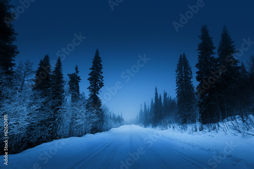 night road in winter forest