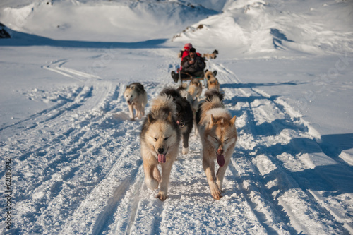 Dog sledding in Tasiilaq, East Greenland