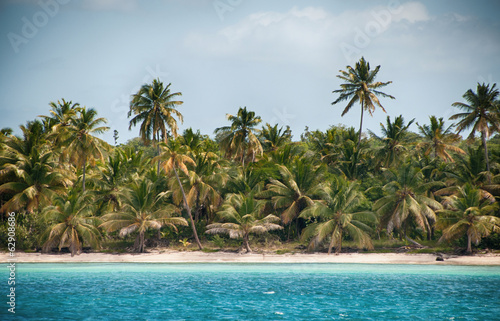 Wonderful palm coastline of Saona Island, Caribbean