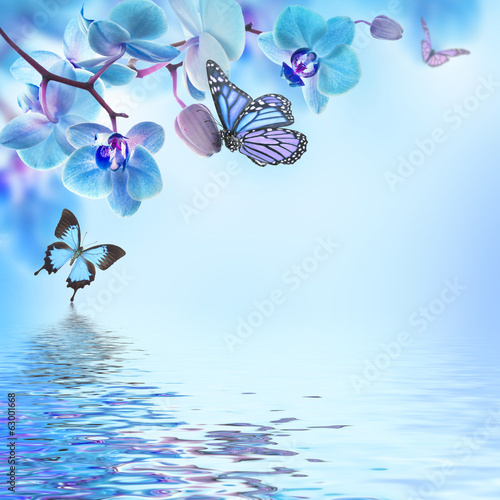 Floral background of tropical orchids and butterfly