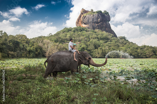 Elephant ride