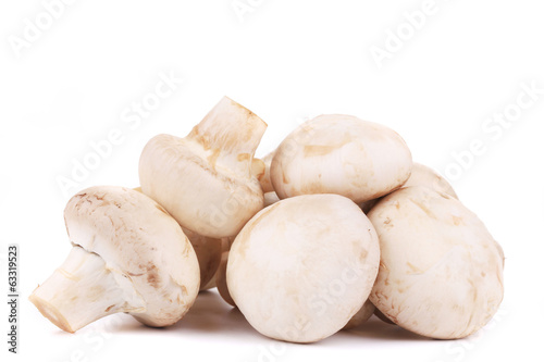 Bunch of white mushrooms close up.