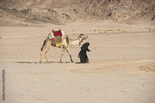 Old bedouin woman with camel in the desert