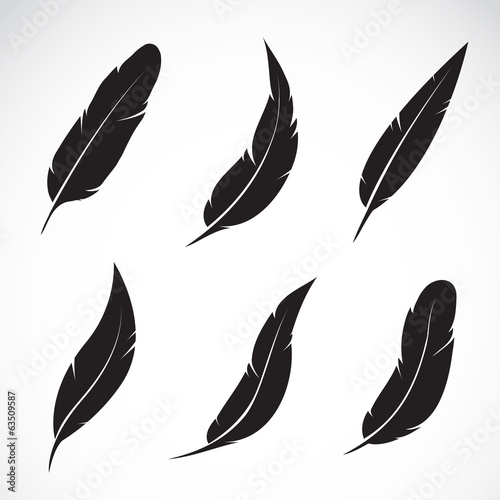 Vector group of black feather isolated on white background. Icons.