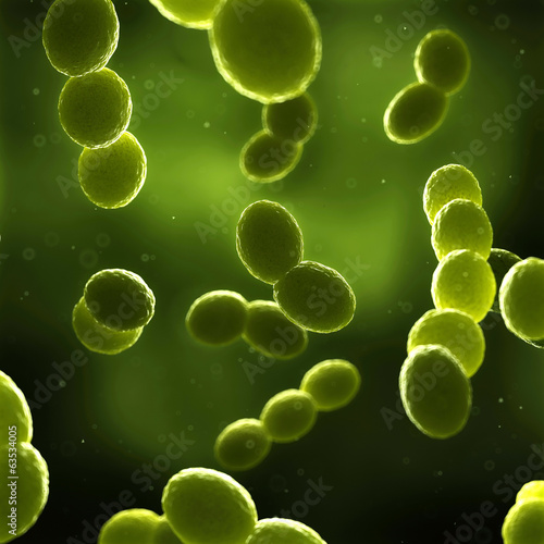scientific illustration - streptococcus bacteria