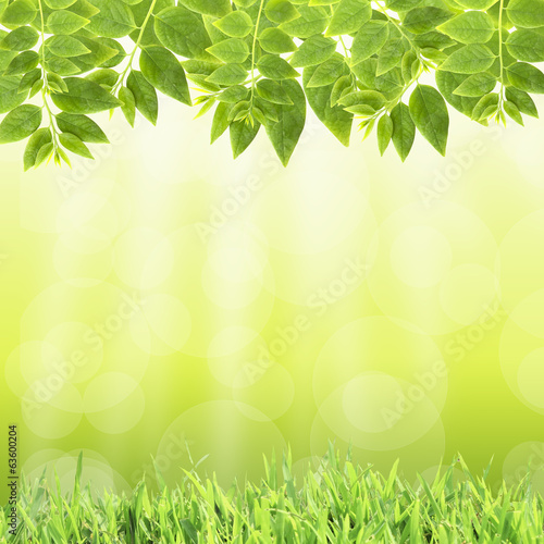 natural green background 