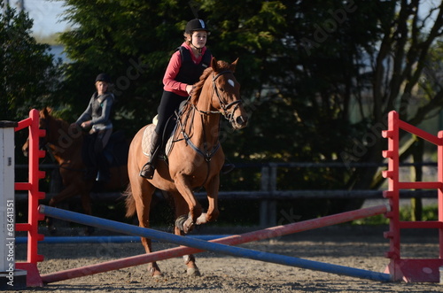 cours d'équitation