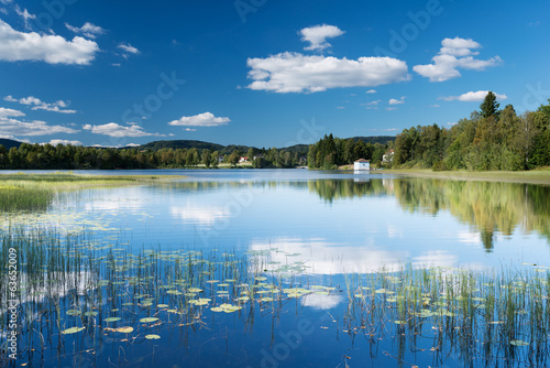 Peaceful lake at Dikemark serene