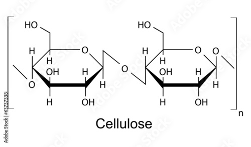 The structural formula of cellulose polymer