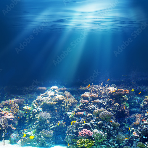 Morska lub oceaniczna podwodna rafa koralowa