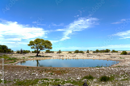 Water hole