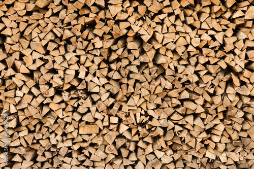 Large beech wood pile