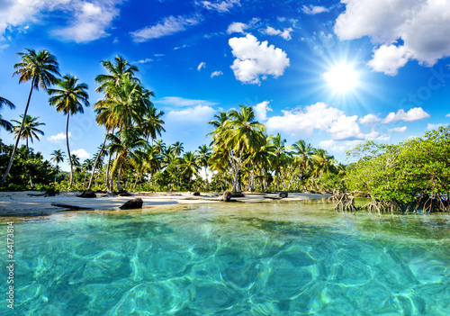 Lonely Caribbean beach :)