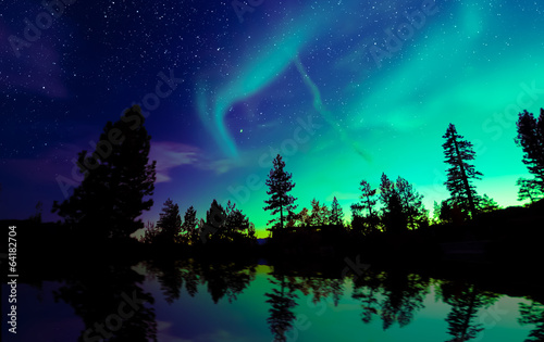 Northern lights aurora borealis in the night sky