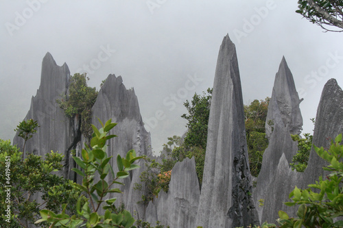 Borneo - Gunung Mulu