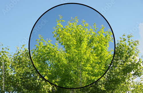 Polarising filter