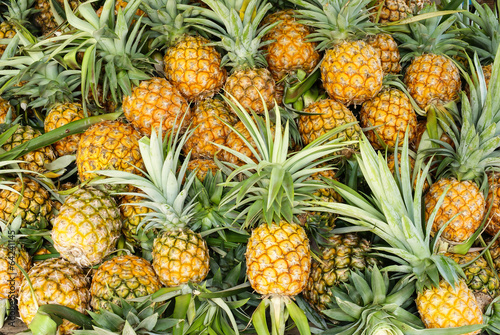 pineapple tropical fruit