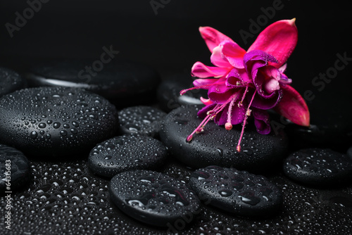 Spa concept of pink with red fuchsia flower and zen stones with