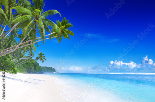 Beautiful Tropical Beach