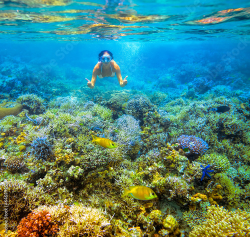 Woman snorkeling in beautiful coral reef with lots of fish.