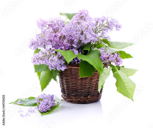 Lilac bouquet in a wicker basket