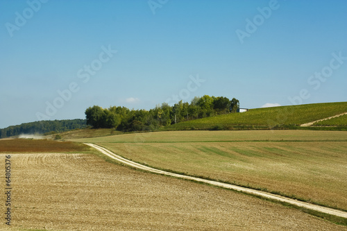 wiejski pejzaż z drogą, polami uprawnymi oraz lasem pośrodku