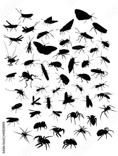 Collection of sillhouettes of insects and spiders