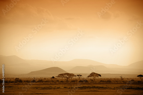 african savannah at sunrise