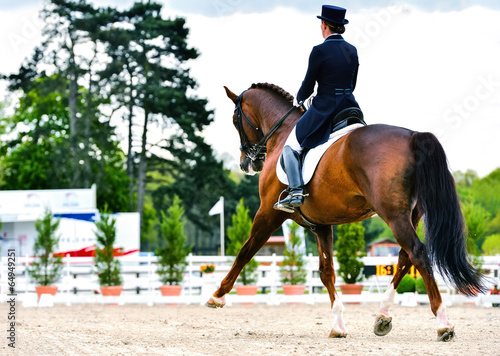 dressage horse and woman rider - extended trot