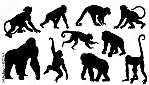 monkey silhouettes