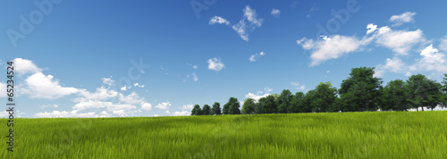 Panorama of Green Grass with cloud and the blue sky. 3d render 