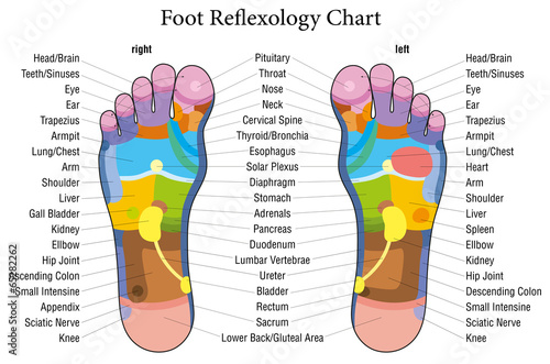 Foot reflexology chart description