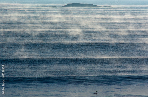 Seascape of fog over cold sea waves